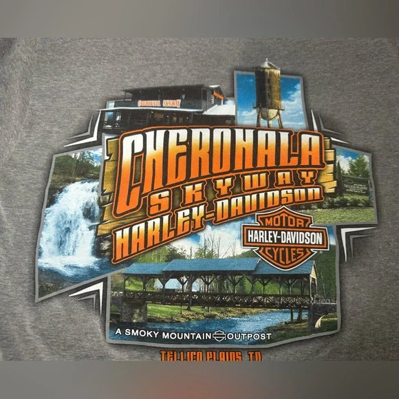 Harley-Davidson distressed logo t-shirt, gray short-sleeve.  Cherohala Skyway. - Picture 4 of 6